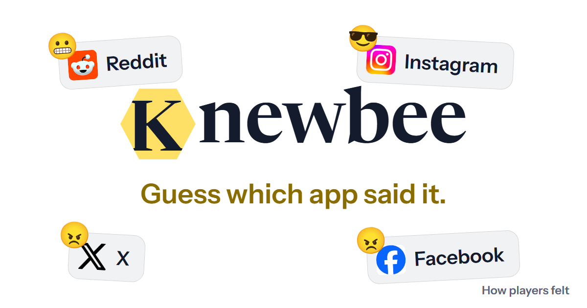 knewbee.web.app image